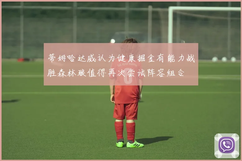 蒂姆哈达威认为健康掘金有能力战胜森林狼值得再次尝试阵容组合